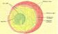 Cell biology Cell biology everything about the cell