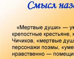 Кратък преразказ на глава 5 от „Мъртви души“.