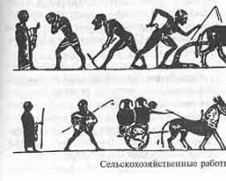 Стопанските дейности на Атина и Спарта