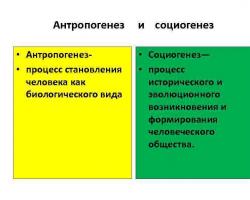 Периодизация на най-ранната история на човечеството