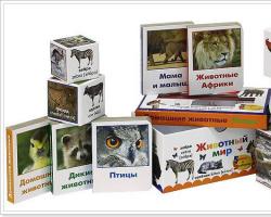 Домашние животные на английском языке в картинках Учим домашних животных на английском языке